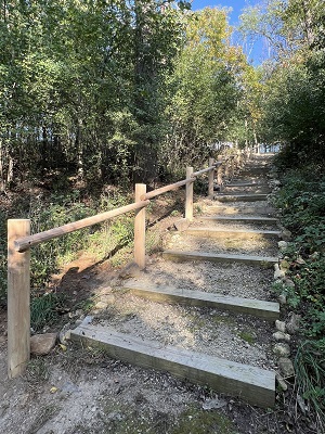 Rustic stairs with rail